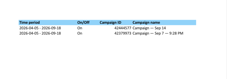 Twitter Ads Report