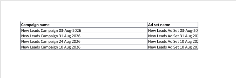 Meta Ads Report